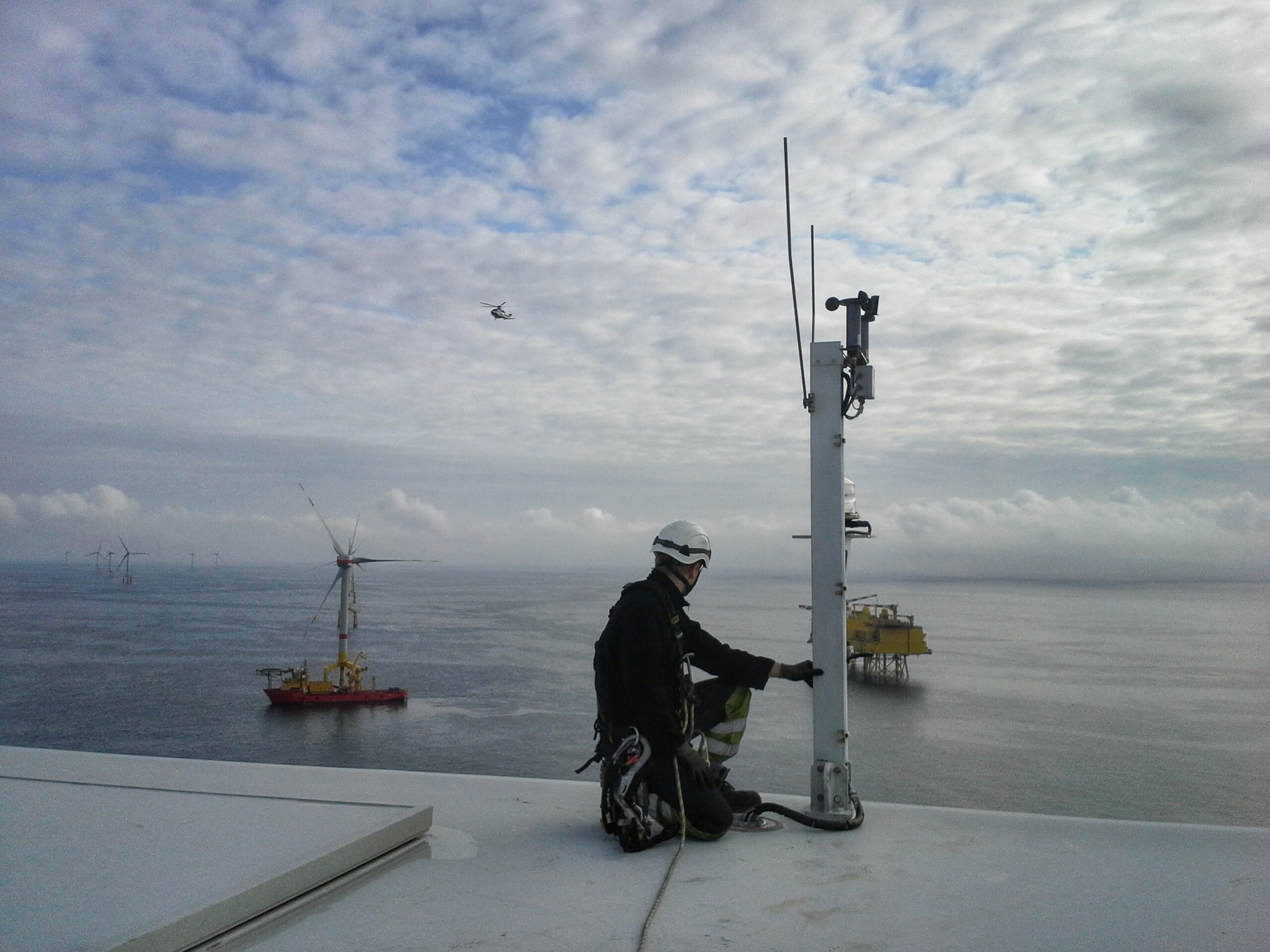 Deutscher Offshore Windpark german offshore windfarm sunset birds wind energy